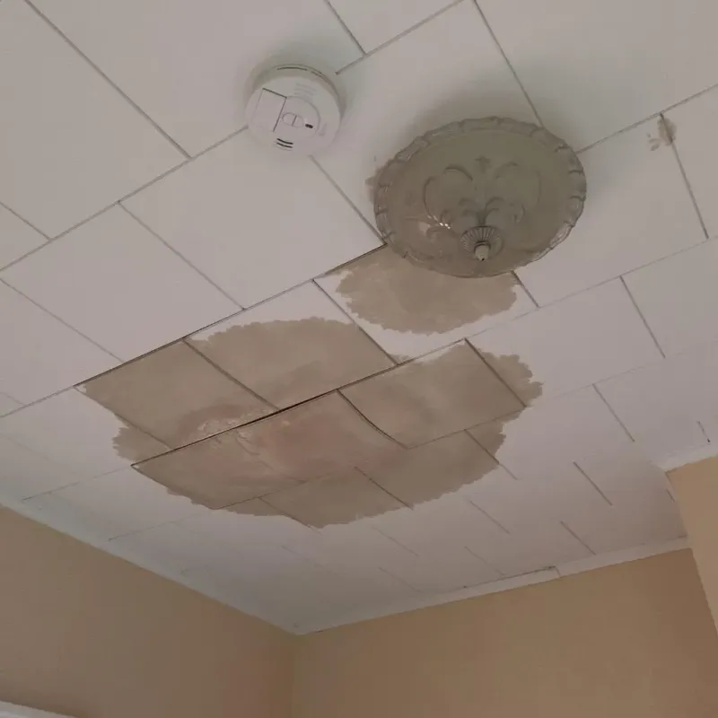 Ceiling Water Damage Repair in Somerset, OH