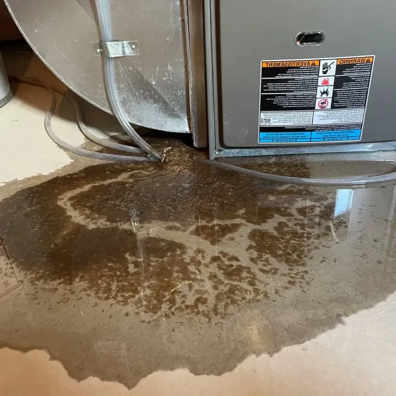Pipe Burst and Leak Restoration in Somerset, OH