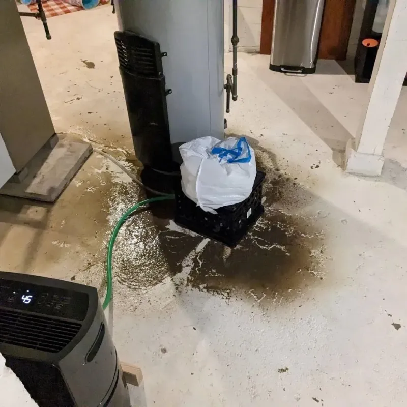 Sewage Backup Cleanup Service in Somerset, OH